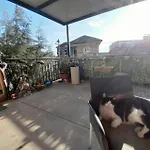 Bed & Breakfast Park-side Oasis With Private Terrace *