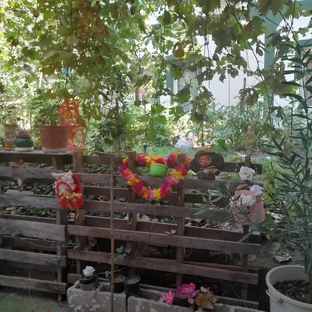 Private & Terrace Отель типа 