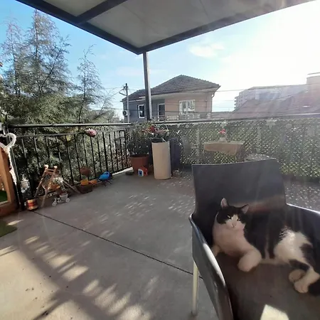 Oda ve Kahvaltı Adem's Cozy Terrace Retreat *