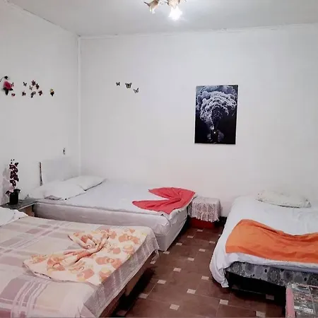 Adem's Cozy Terrace Retreat
